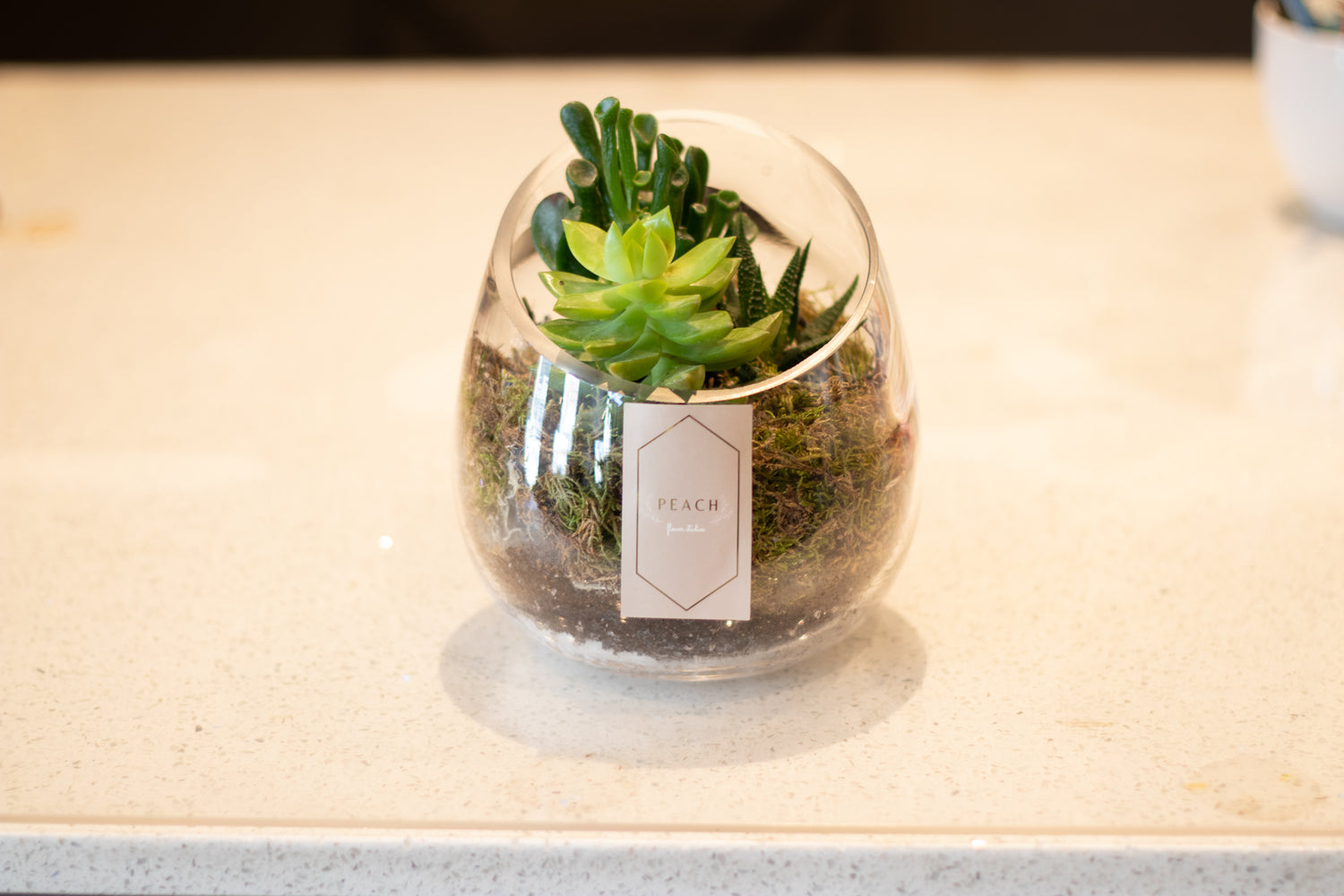 Plants