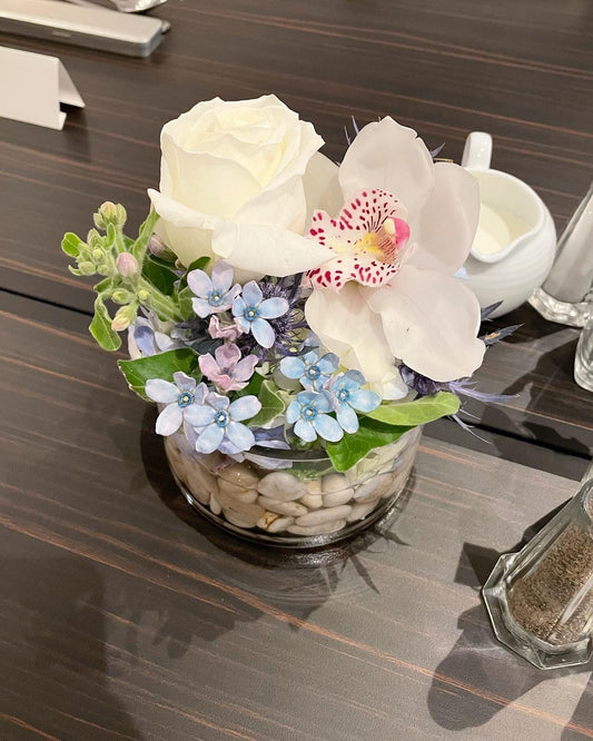 Gentle Bloom