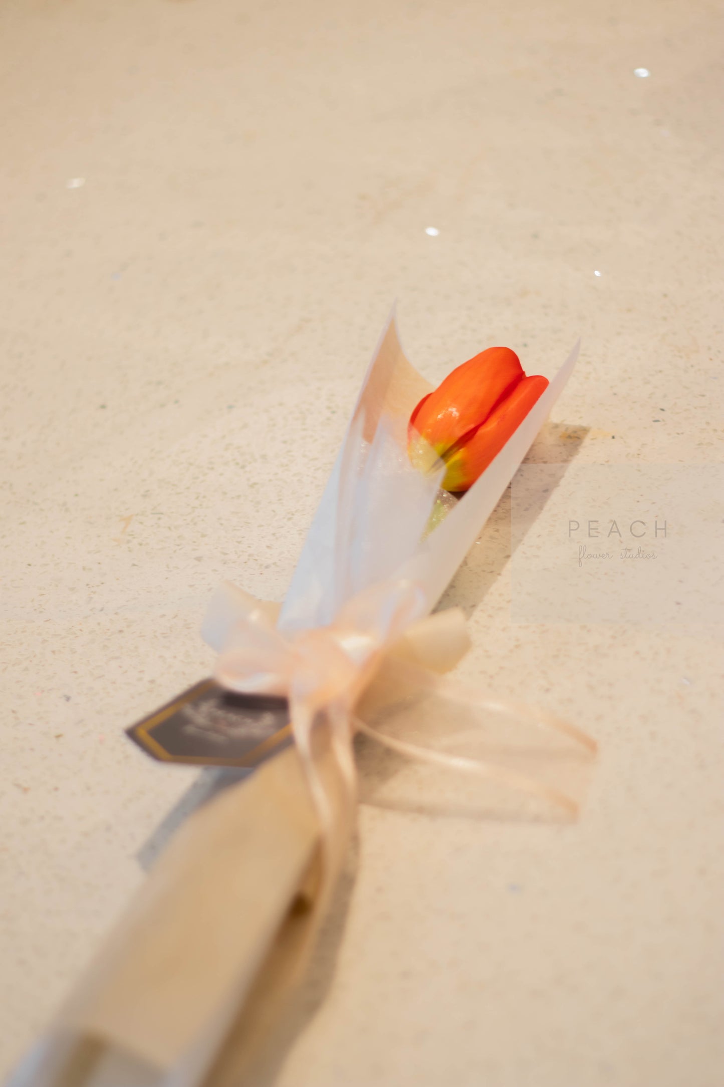 Single Tulip