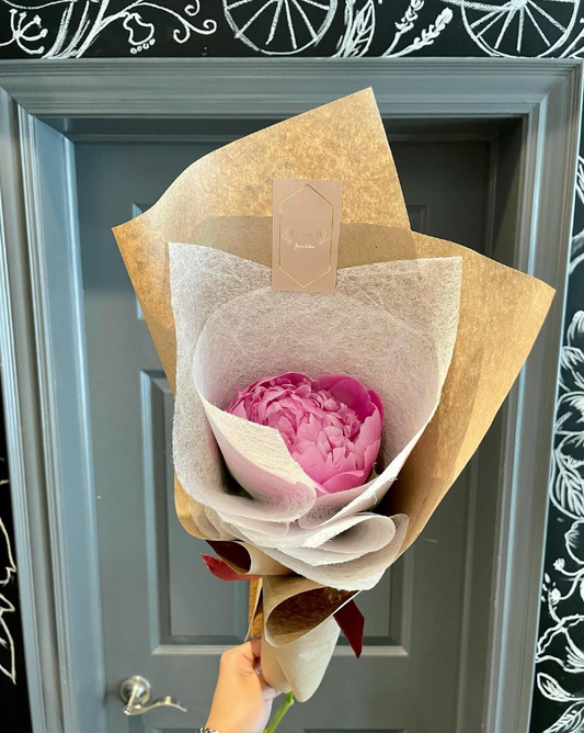 Single Stem Peony