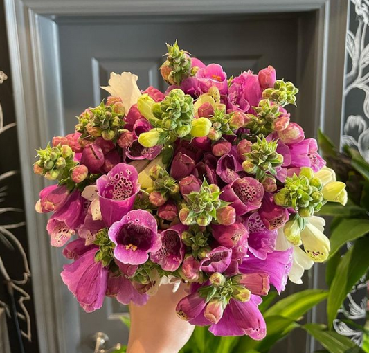 Mixed Snapdragon Bouquet